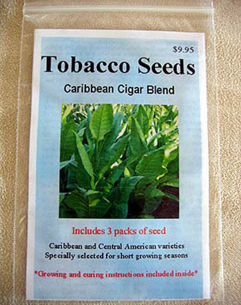 1,000 Organic Tobacco Seeds – Mix Of Cigar & Pipe Tobacco Varieties, Nicotiana, Annual, USA