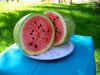 bozeman_watermelon_2.jpg (76101 bytes)