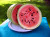 bozeman_watermelon_3.jpg (70650 bytes)