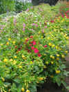 IMG_3760 copy.jpg (203546 bytes)